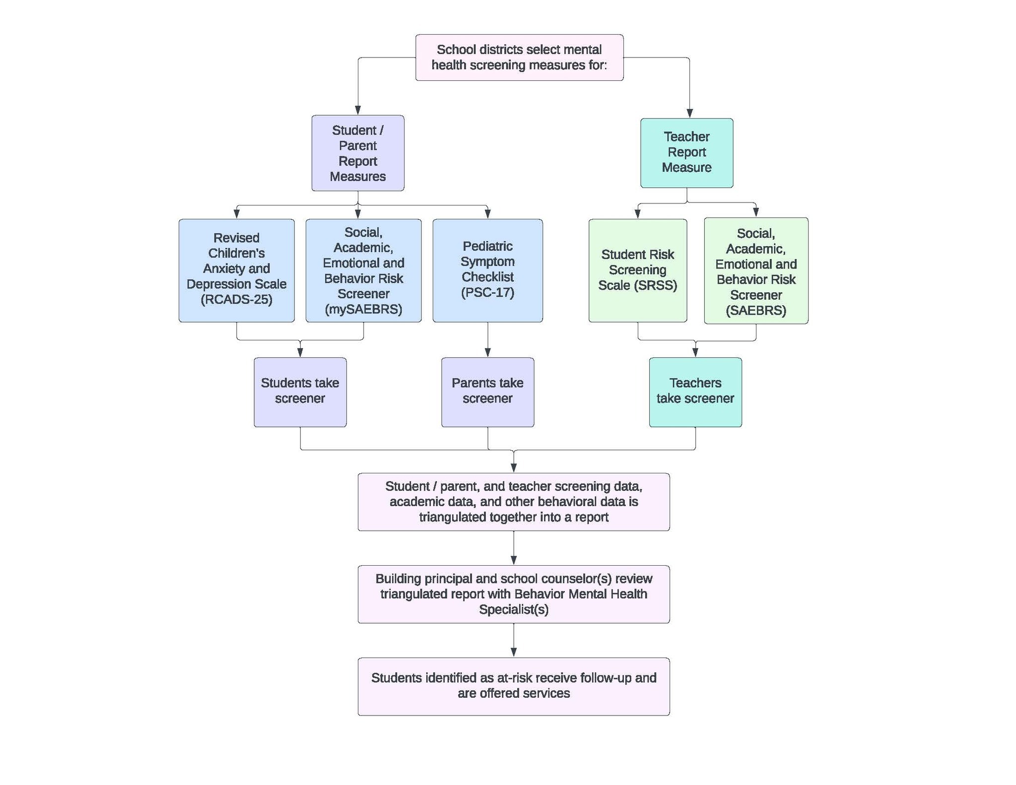 Screening Process Flow Chart